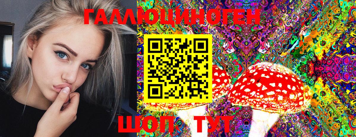 Галлюциногенные грибы Psilocybe Черняховск